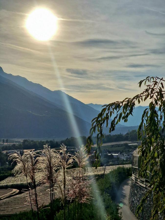 Langstein Bio Urlaub & Genuss Villa Coldrano Dış mekan fotoğraf
